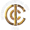 الكأس القارية فيفا